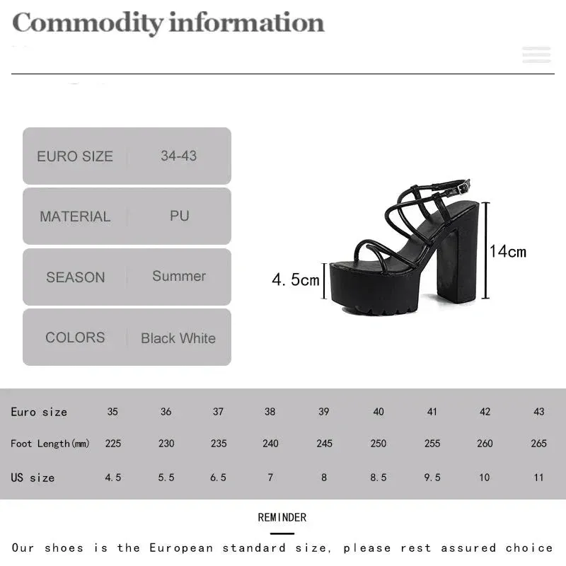 Joskaa 2024 New Chunky Sandal Heels